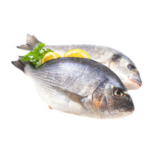 Fresh Coral Fish