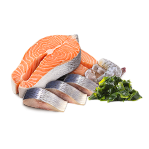 Tuna Fish Cube