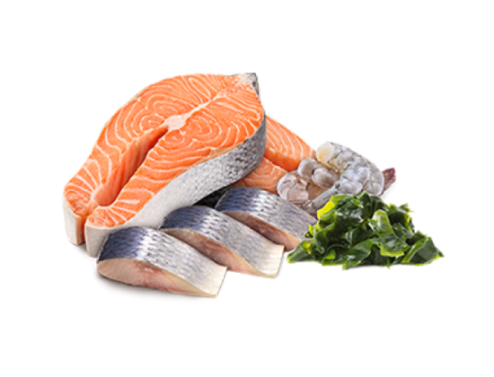 Tuna Fish Cube