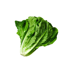 Organic Broccoli