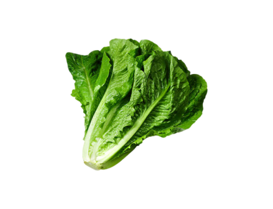 Organic Broccoli