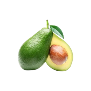 Avocado Fruit